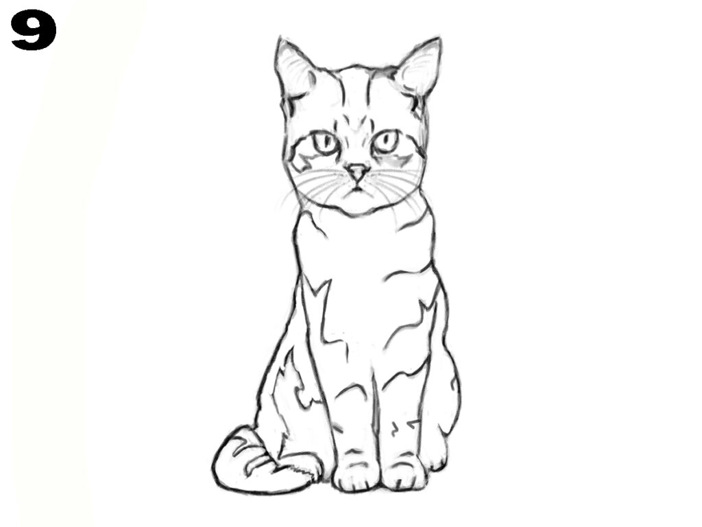 How to draw a cat