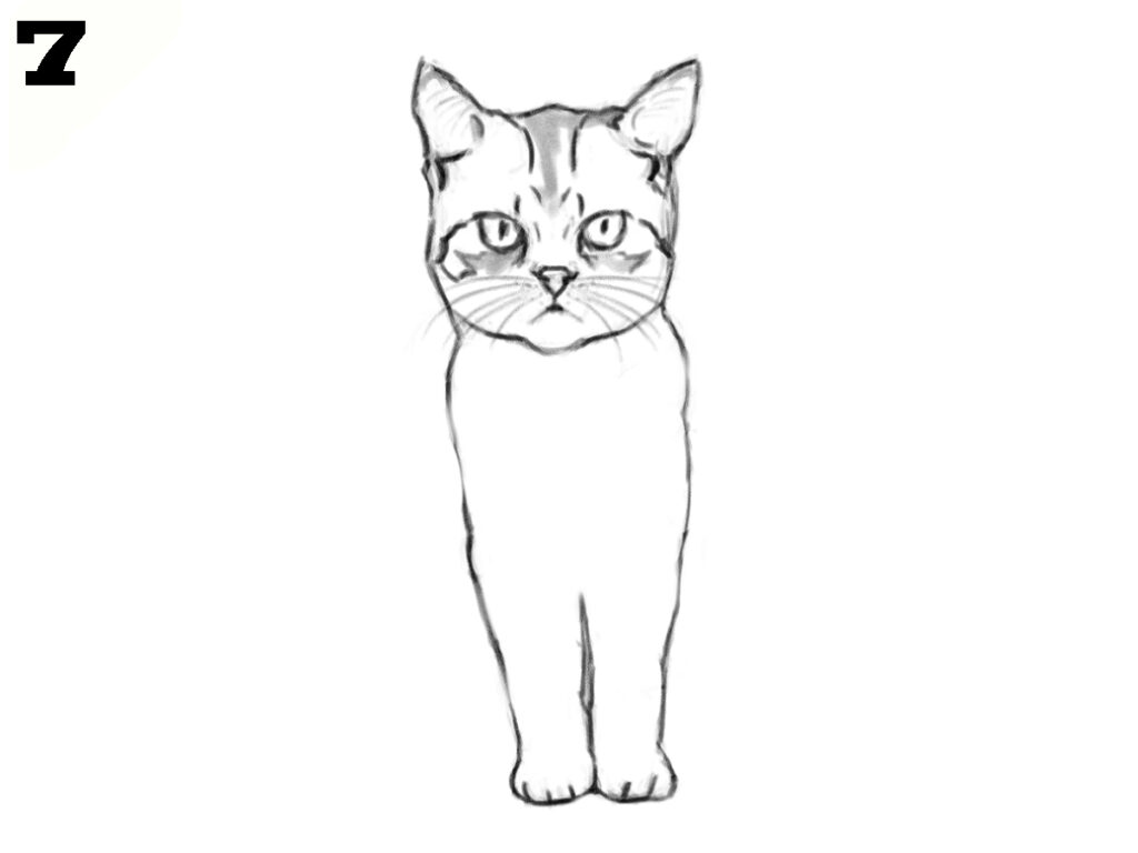 How to draw a cat