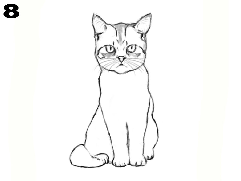 How to draw a cat