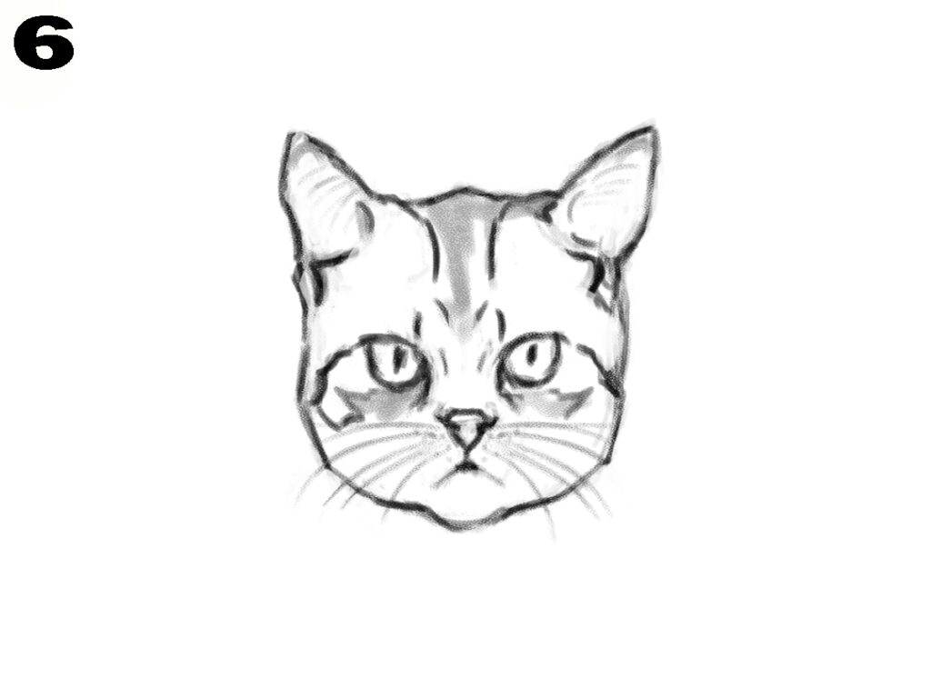 How to draw a cat