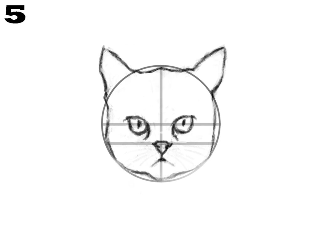 How to draw a cat