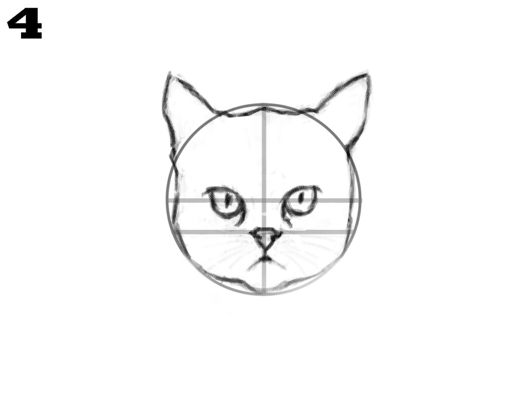 How to draw a cat