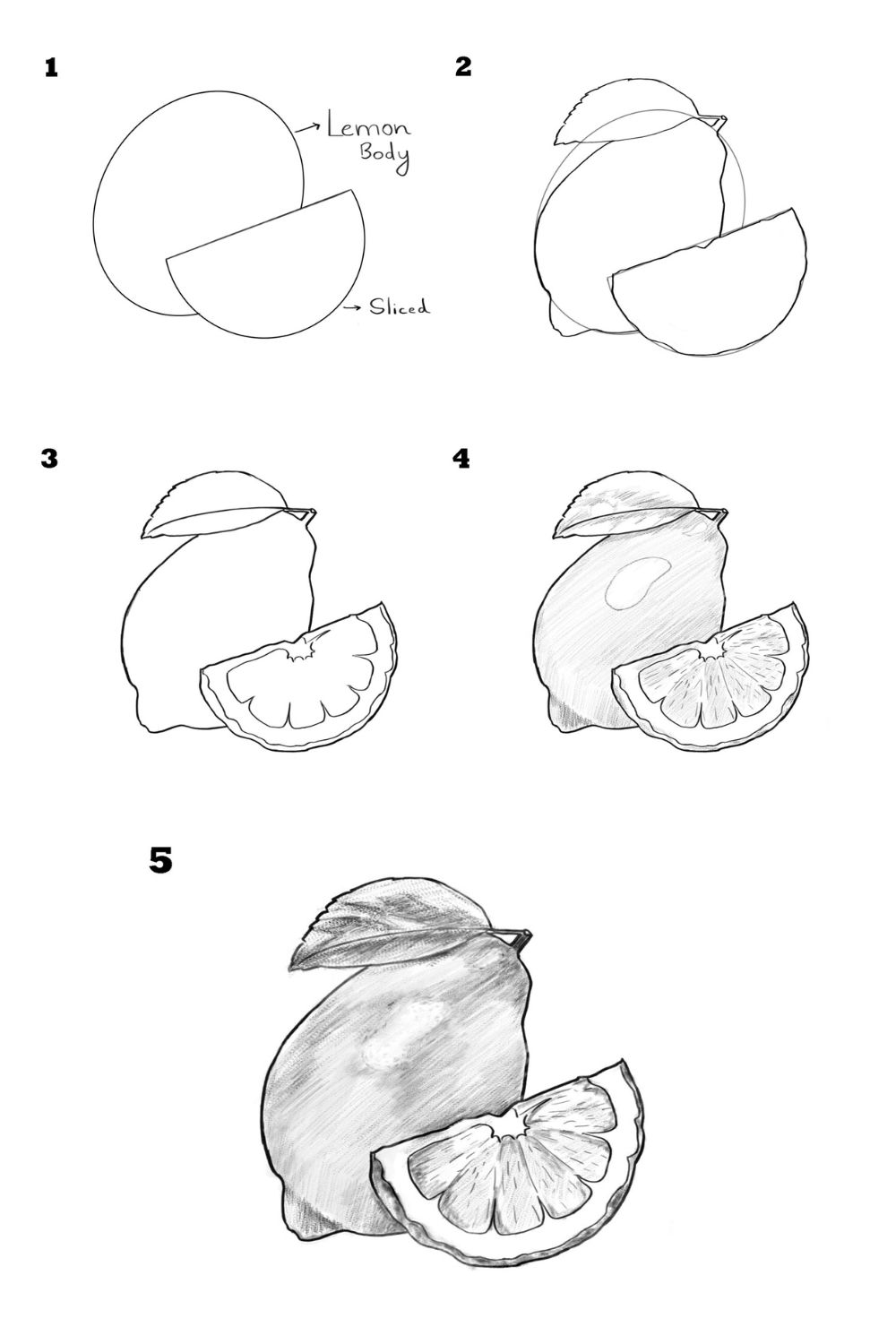 how to draw a lemon